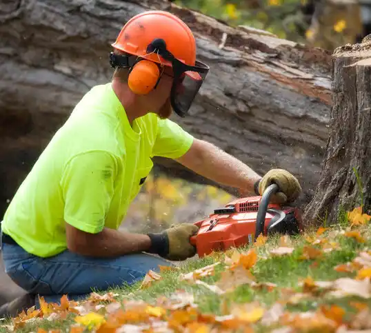 tree services West Kennebunk